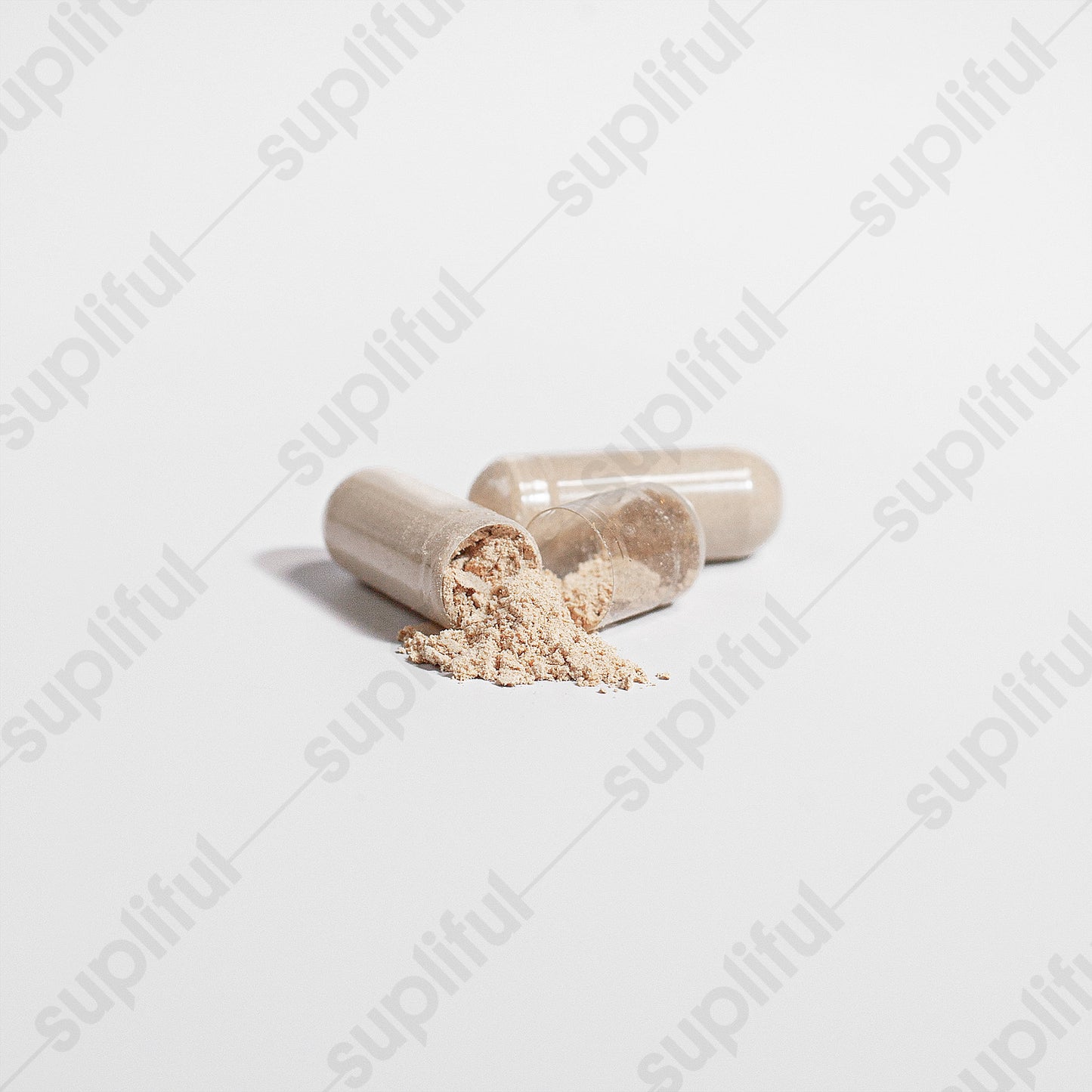 Lion's Mane Mushroom Extract