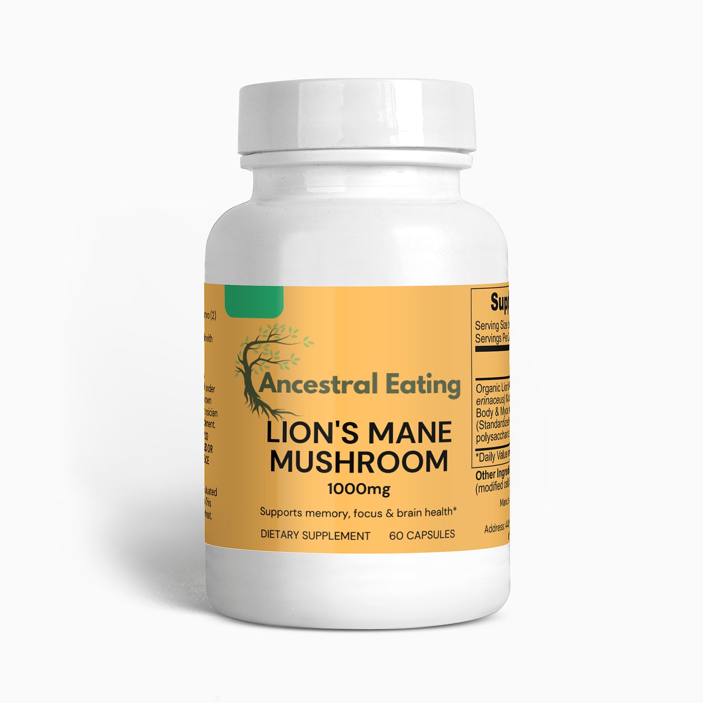 Lion's Mane Mushroom Extract