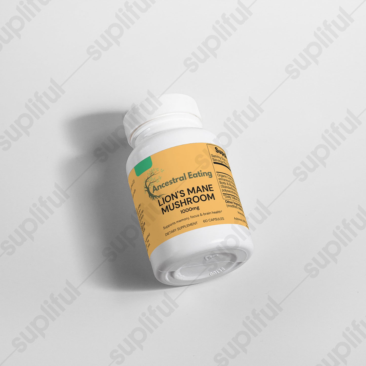 Lion's Mane Mushroom Extract