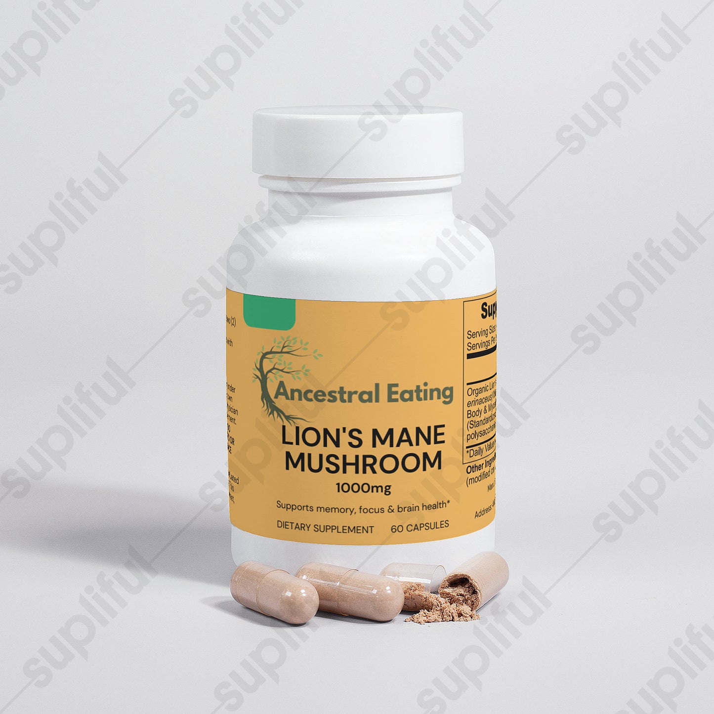 Lion's Mane Mushroom Extract