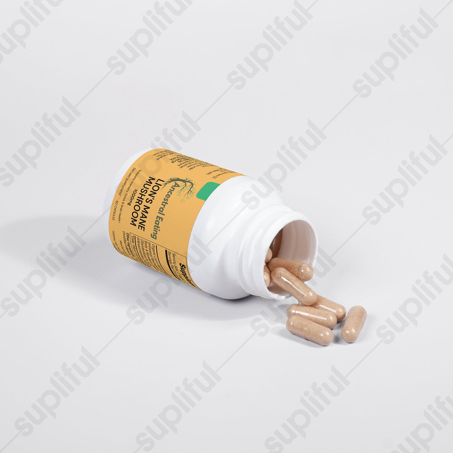 Lion's Mane Mushroom Extract