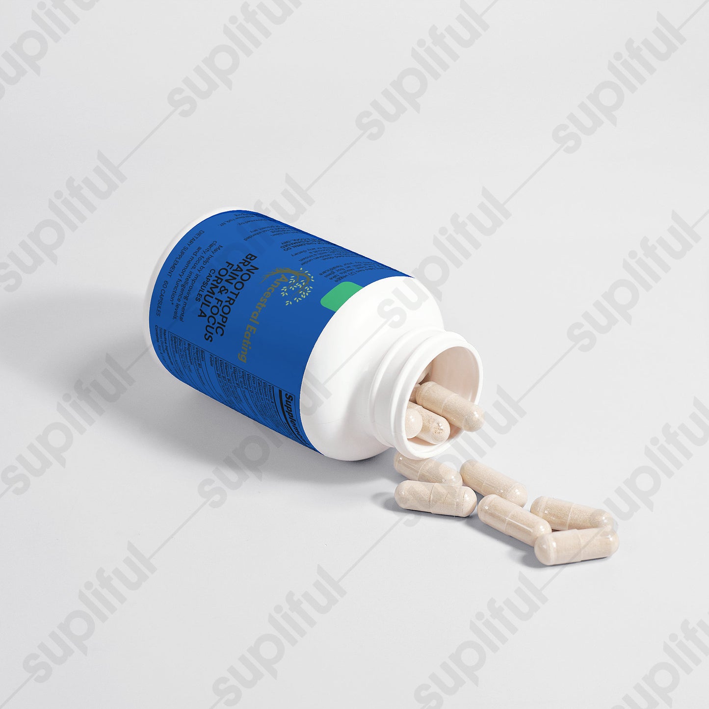Nootropic Brain & Focus Formula