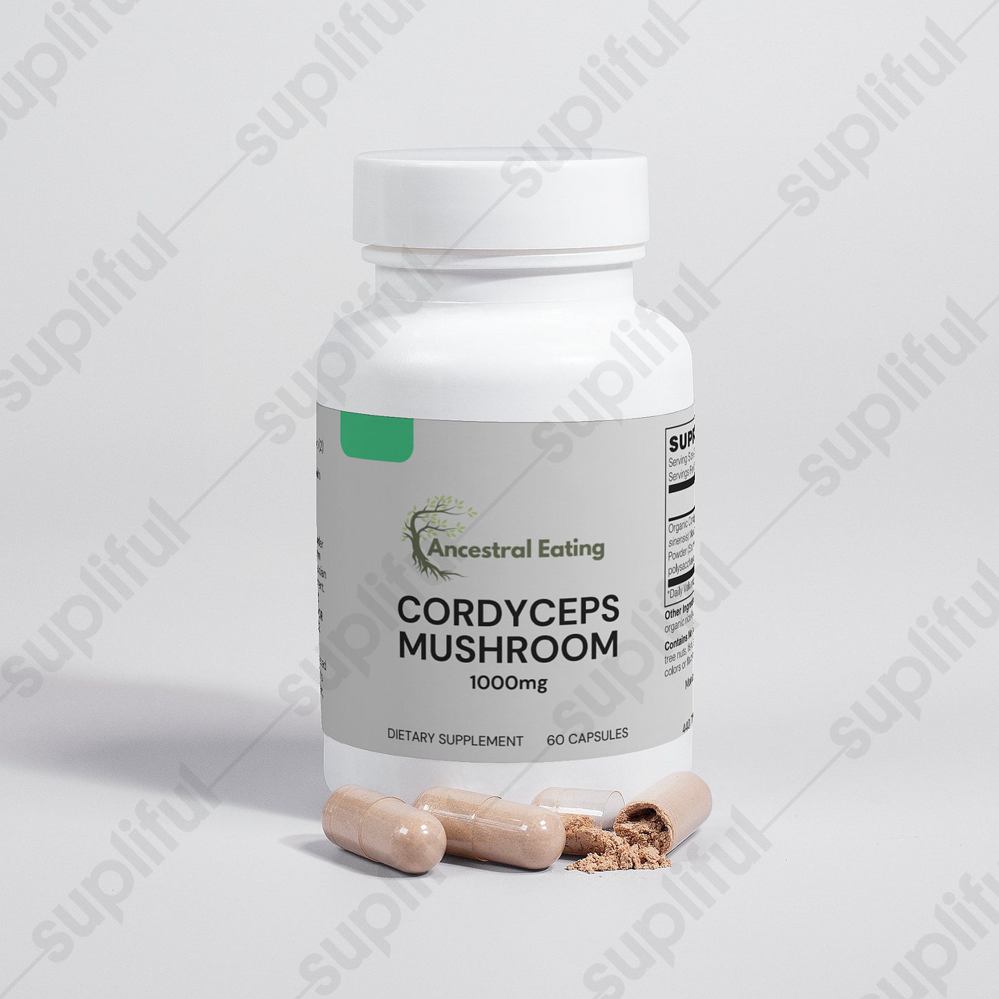 Cordyceps Mushroom